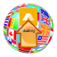 subreg2abraflexi icon